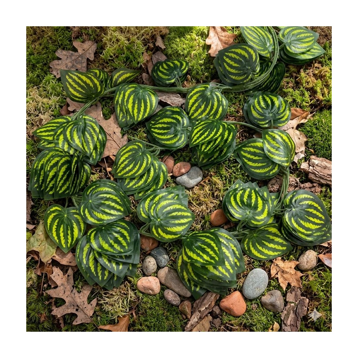 Plantas Sintéticas