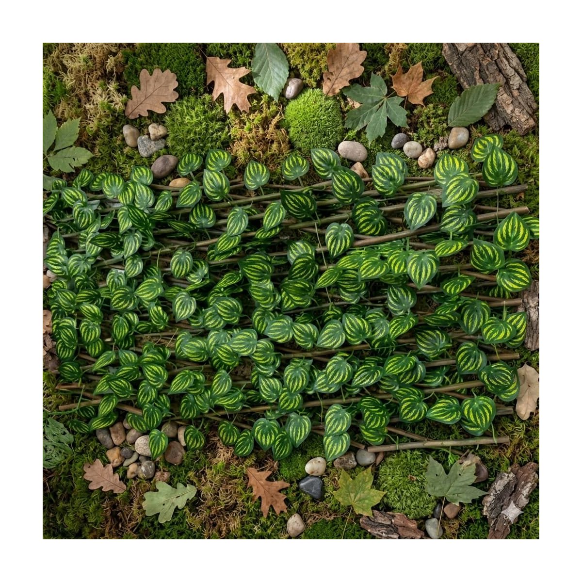 Plantas Sintéticas