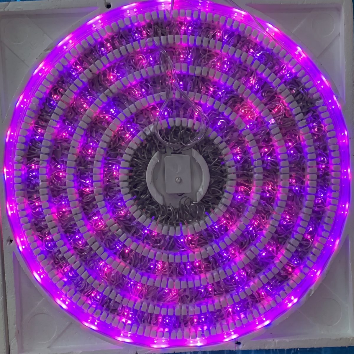 500L,25m  SERIE LED'S MAGICA MORADA/ROSA UNICEL