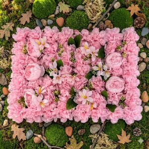 Plantas Sintéticas