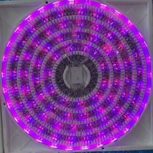500L,25m  SERIE LED'S MAGICA MORADA/ROSA UNICEL